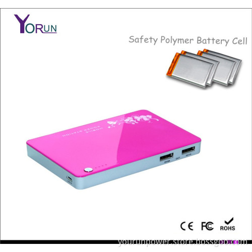 2014 UV Case Mobile Power Bank 5000mAh for iPad (YR050)